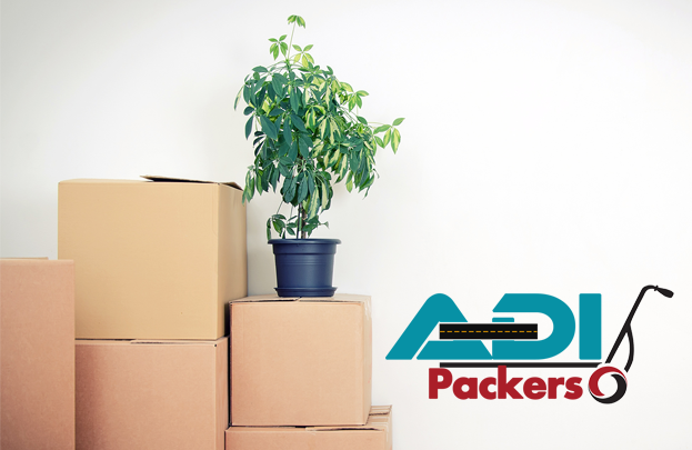 Packers and Movers in Nagpur