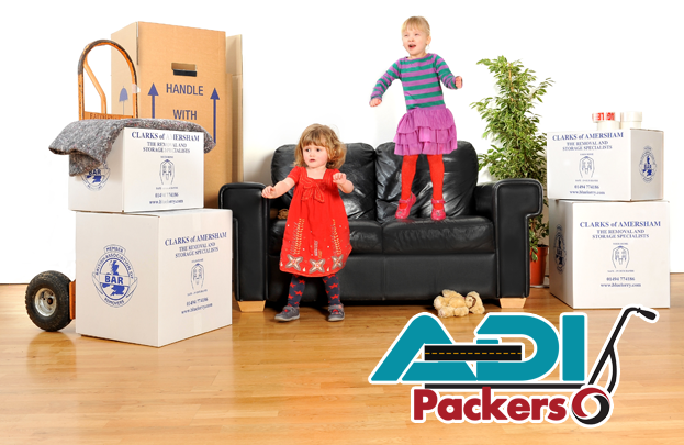 Packing and Moving Services in Jaipur